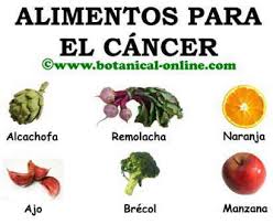 alimentospreventivos