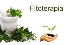fitoterapia