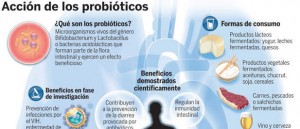probiotico2