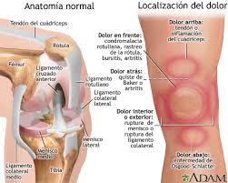 RODILLA1