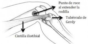 RODILLACORREDORIMPORT