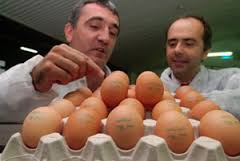 huevos5