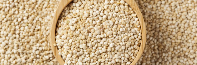LA QUINOA. TODO LO QUE NECESITAS SABER.