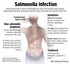 salmonella3