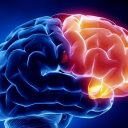 ¿que es el ictus o el accidente cerebrovascular? tratamientos naturales