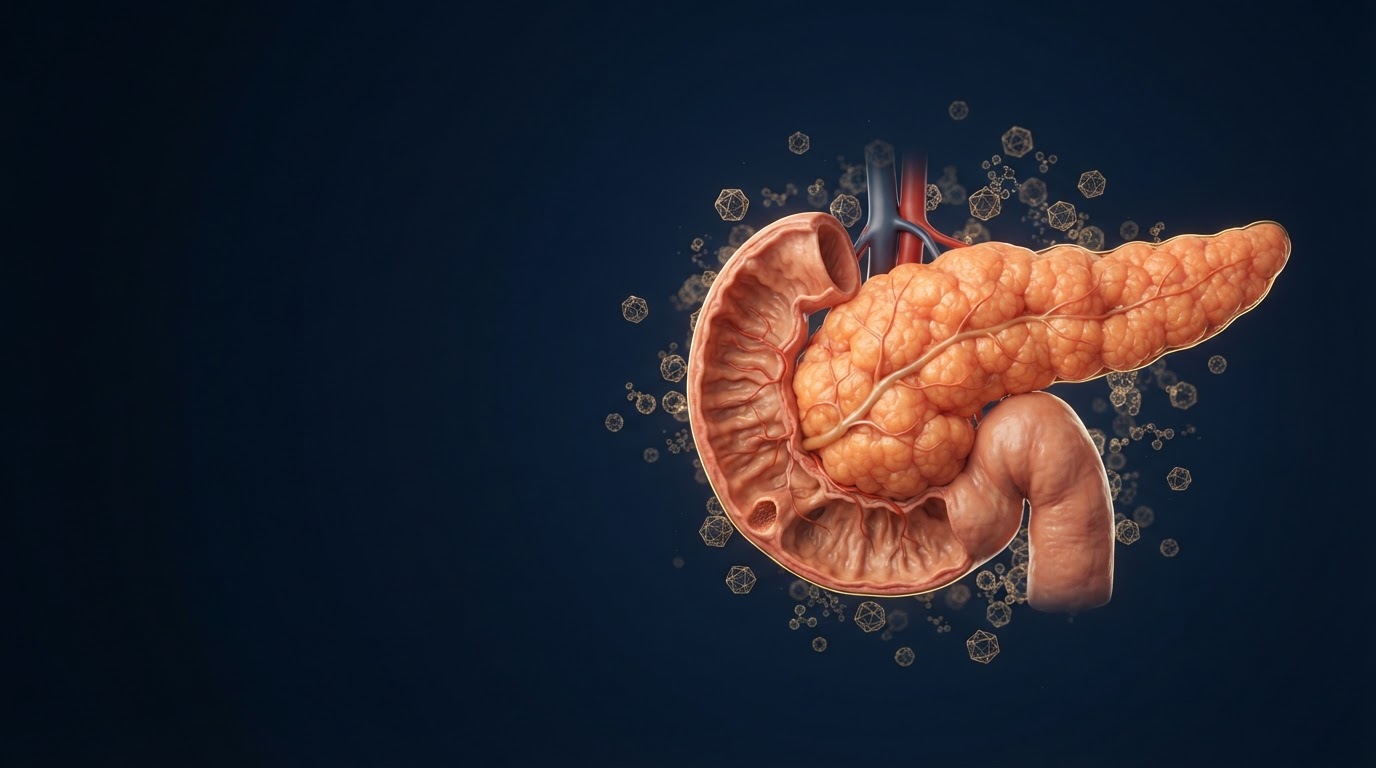 Imagen médica 3D sobre Diabetes y metabolismo