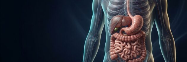 Alimentos para mejorar el tránsito intestinal y prevenir el estreñimiento